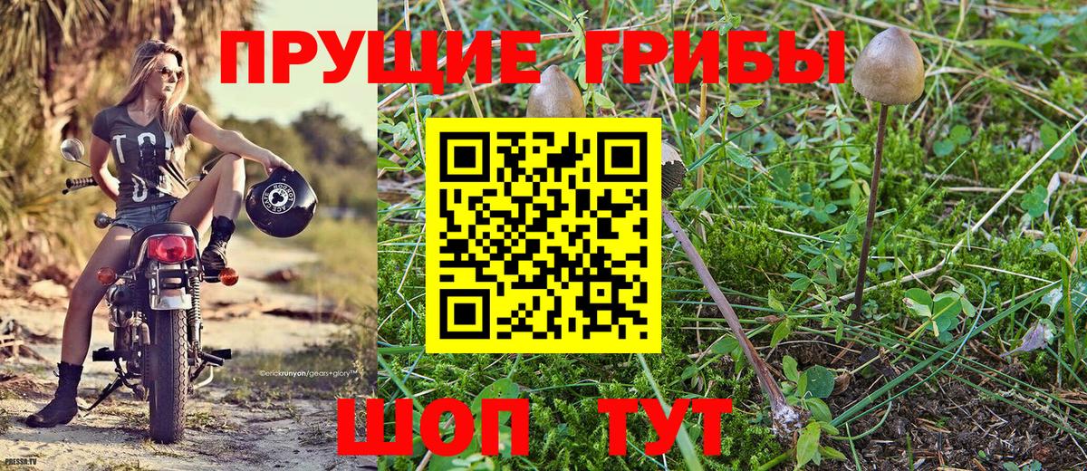 Псилоцибиновые грибы ЛСД Осинники