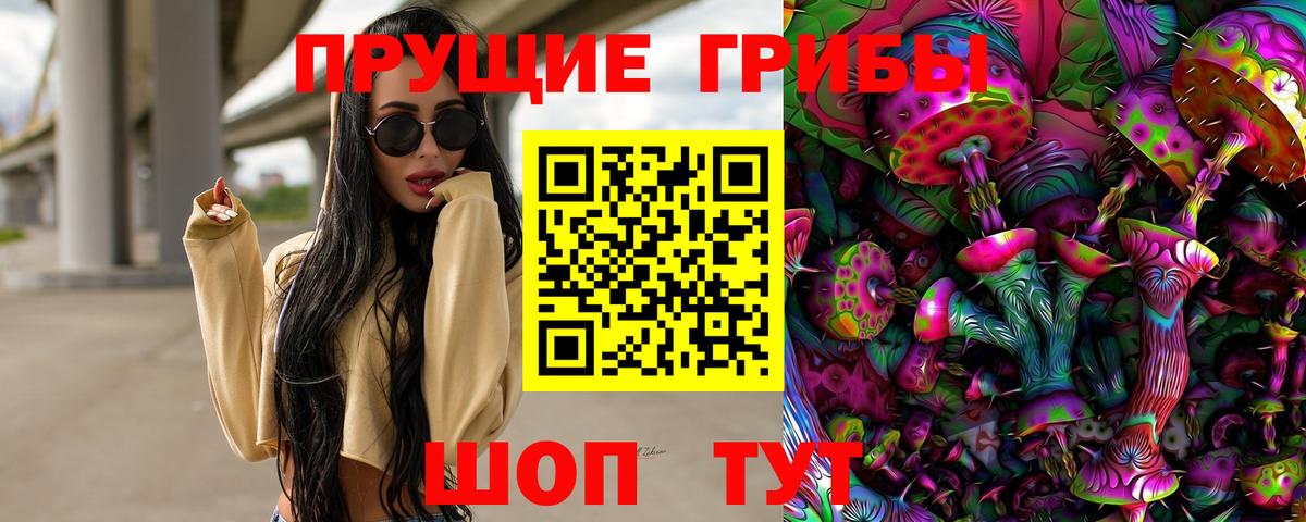 Осинники  Псилоцибиновые грибы мухоморы  Вход с VPN 
