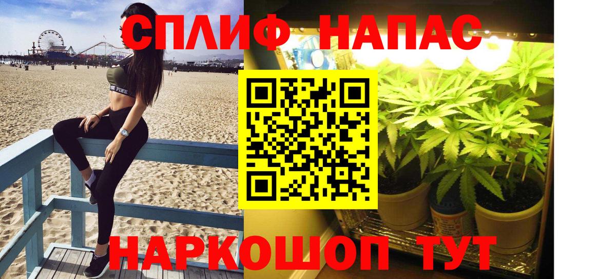 Шишки марихуана MAZAR  Вход с VPN  Осинники  Канабис Ganja  Каннабис марихуана  Канабис гибрид 